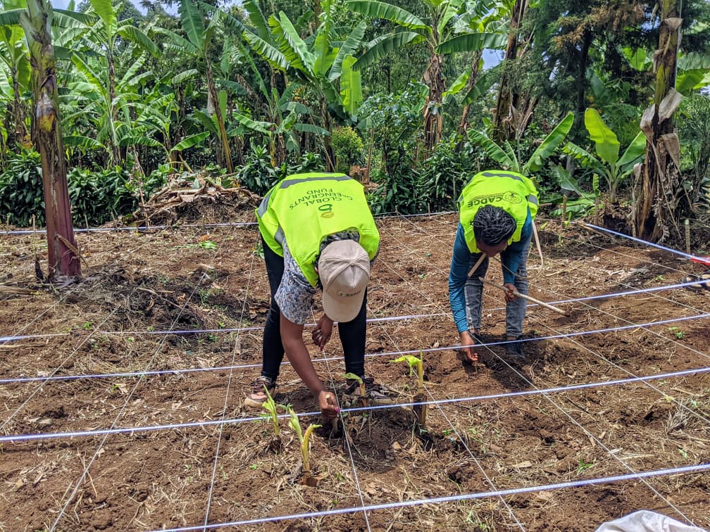 CADGE programs and projects