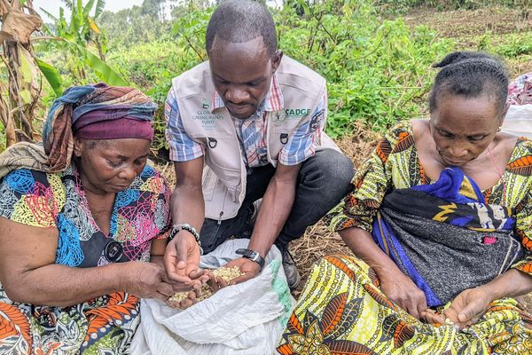 Distribution de semences aux agricultrices riveraines du PNKB